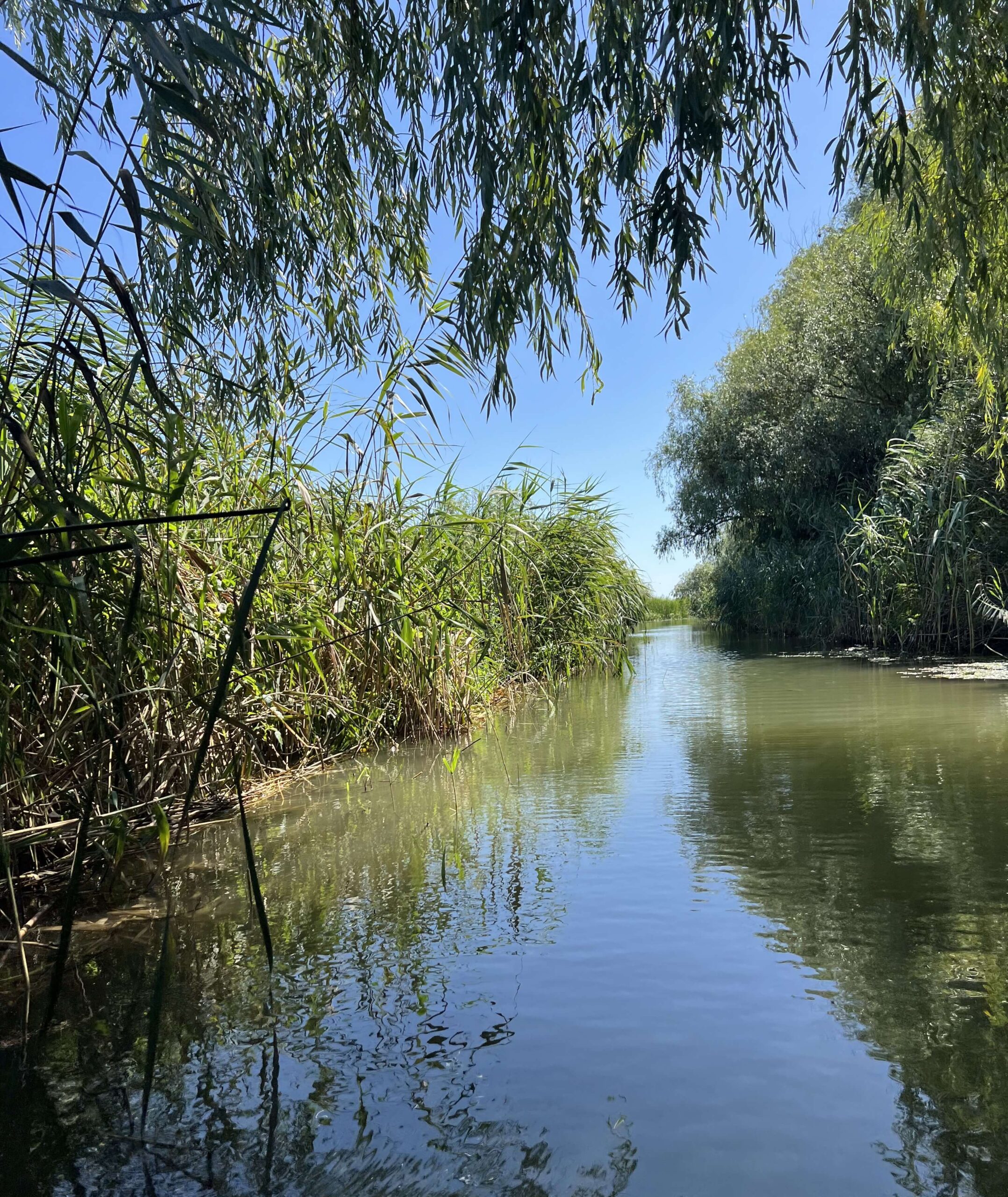 canaleprindelta
