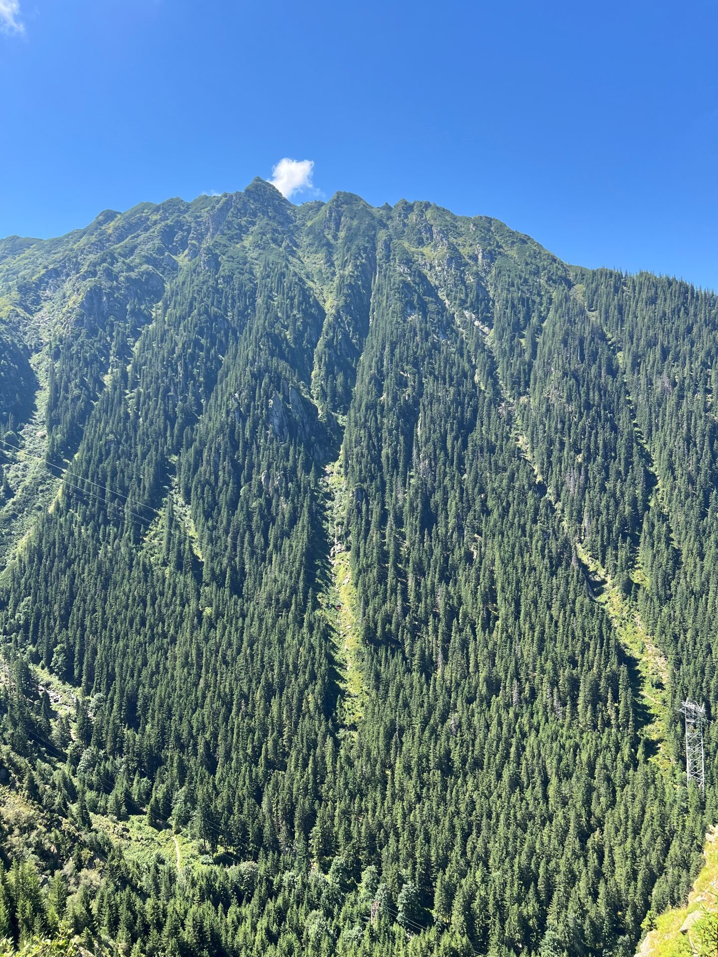 transfagaras