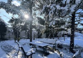 conversatiilenevazute