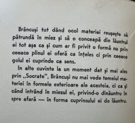 brancusi
